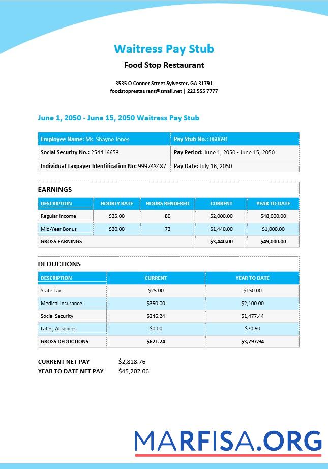 Realistic Waitress Pay Stub sample